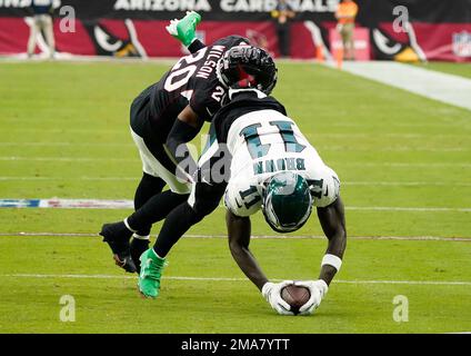 Philadelphia Eagles' A.J. Brown runs drill during practice at NFL football training  camp, Sunday, July 30, 2023, in Philadelphia. (AP Photo/Chris Szagola Stock  Photo - Alamy