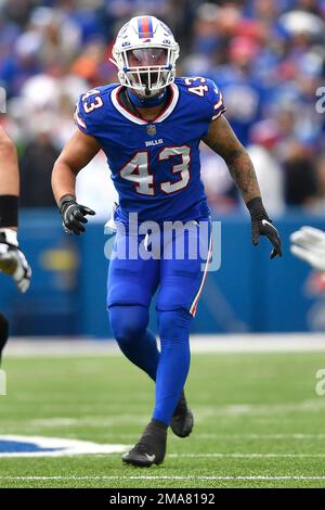 Buffalo Bills linebacker Terrel Bernard (43) defends during an NFL football  game, Monday, Sept. 19, 2022, in Orchard Park, NY. (AP Photo/Matt Durisko  Stock Photo - Alamy