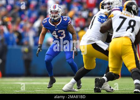 Buffalo Bills linebacker Terrel Bernard (43) celebrates after a stop during  an NFL wild-card football game Sunday, Jan. 15, 2023, in Orchard Park, NY.  (AP Photo/Matt Durisko Stock Photo - Alamy