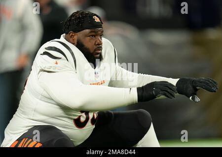 Cincinnati Bengals defensive tackle Tyler Shelvin (99) runs for the play  during a preseason NFL football game against the Los Angeles Rams,  Saturday, Aug. 27, 2022, in Cincinnati. (AP Photo/Emilee Chinn Stock