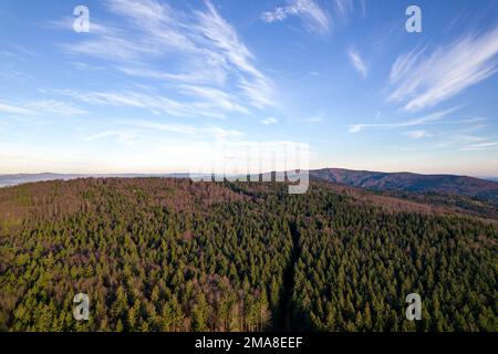 Drone images of the bavarian forest near Furth im Wald and Gleissenberg Bavaria. Also the glass cross of the viewpoint Reiseck can be discovered here.