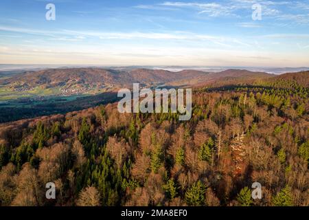 Drone images of the bavarian forest near Furth im Wald and Gleissenberg Bavaria. Also the glass cross of the viewpoint Reiseck can be discovered here.