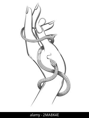 Tattoo of Female Hand with Snake isolated on White Background. vector illustration. Stock Vector
