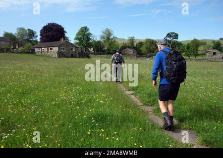 Two Men Walking (Hikers) in a Wild Flower Meadow on Paved Path on the Pennine Way in Hawes Wensleydale, Yorkshire Dales National Park, England, UK. Stock Photo