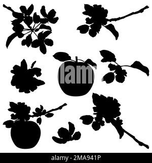 Apple blossom silhouettes. Fruit tree twigs with flowers, vector illustration Stock Vector