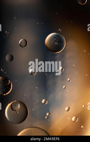 Abstract colorful bubbles. Soft background with blue copper color circles. Stock Photo