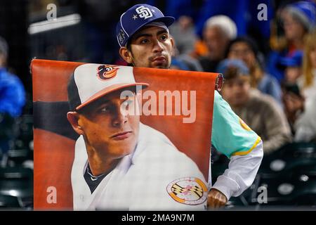 San Diego Padres right fielder Fernando Tatis Jr. (23) in the first inning  during a baseball game against the Arizona Diamondbacks, Thursday, April  20, 2023, in Phoenix. (AP Photo/Rick Scuteri Stock Photo - Alamy