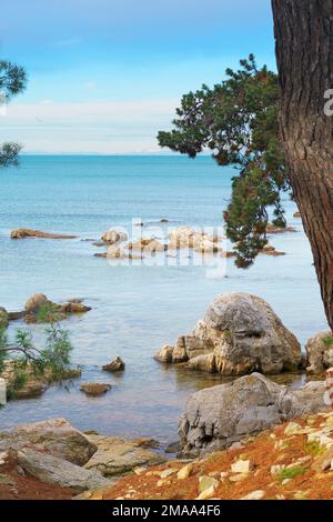 Beautiful place by the beach under pine trees near Savudrija on Croatian coast. Vacation, travel, tourism and leasure concepts Stock Photo