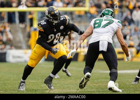 Pittsburgh Steelers defensive end DeMarvin Leal during an NFL football game  against the New York Jets at Acrisure Stadium, Sunday, Oct. 2, 2022 in  Pittsburgh, Penn. (Winslow Townson/AP Images for Panini Stock Photo - Alamy