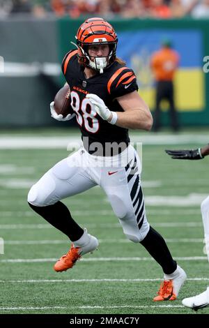 Cincinnati Bengals tight end Hayden Hurst (88) runs after making a catch  during an NFL football game against the Baltimore Ravens, Sunday, Jan. 8,  2023, in Cincinnati. (AP Photo/Jeff Dean Stock Photo - Alamy