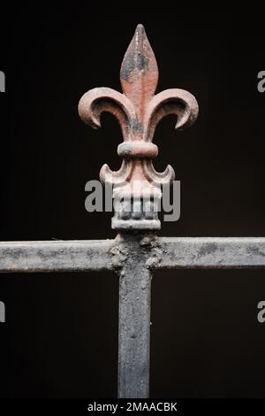 Close up color shot of  a lily on iron forged fence. Stock Photo