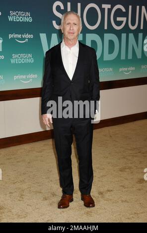 HOLLYWOOD, CA - JANUARY 18: Steve Coulter attends the Los Angeles premiere of Prime Video's 'Shotgun Wedding' at TCL Chinese Theatre on January 18, 20 Stock Photo