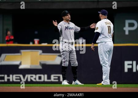 Milwaukee Brewers' Rowdy Tellez (11) celebrates his two-run home run off  Tampa Bay Rays' Cooper Criswell with Darin Ruf during the fourth inning of  a baseball game Sunday, May 21, 2023, in