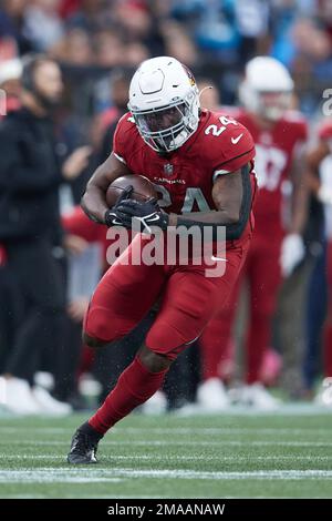 Arizona Cardinals running back Darrel Williams runs with the ball after  making a catch as he takes part in drills during the NFL football team's  training camp at State Farm Stadium, Tuesday