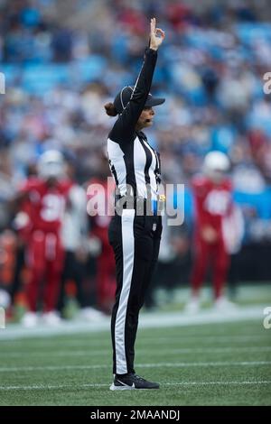Down judge Robin DeLorenzo (134) during an NFL football game between ...