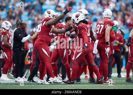 Arizona Cardinals defensive end Jonathan Ledbetter (93) during an