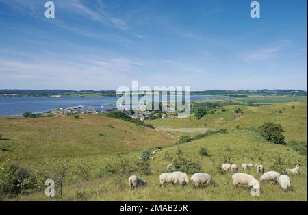 view to Village of Gager,Moenchgut Nature Reserve,Ruegen,baltic Sea,Germany Stock Photo