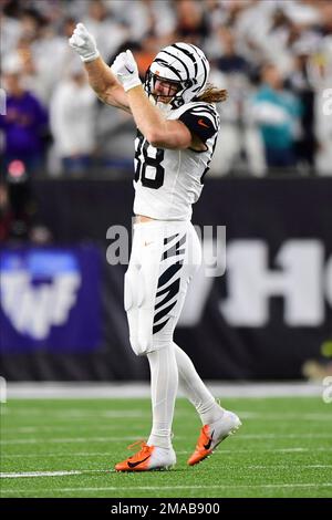 Cincinnati Bengals tight end Hayden Hurst (88) in action against the New  York Jets during an NFL football game on Sunday, Sep. 25, 2022, in East  Rutherford, N.J. (Brad Penner/AP Images for