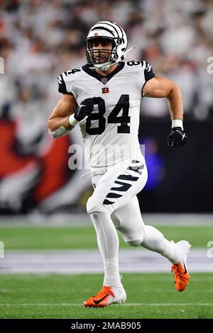 Cincinnati Bengals tight end Devin Asiasi (86) lines up for the play during  an NFL football game against the Carolina Panthers, Sunday, Nov. 6, 2022,  in Cincinnati. (AP Photo/Emilee Chinn Stock Photo - Alamy