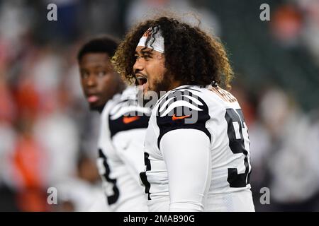 Cincinnati Bengals defensive tackle Jay Tufele (97) against the Tennessee  Titans in an NFL football game, Sunday, Nov. 27, 2022, in Nashville, Tenn.  Bengals won 20-16. (AP Photo/Jeff Lewis Stock Photo - Alamy