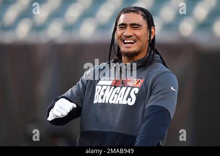 Cincinnati Bengals tight end Devin Asiasi (86) lines up for the play during  an NFL football game against the Carolina Panthers, Sunday, Nov. 6, 2022,  in Cincinnati. (AP Photo/Emilee Chinn Stock Photo - Alamy