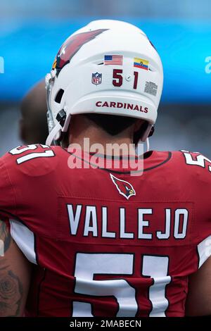 Arizona Cardinals linebacker Tanner Vallejo (51) wears an Ecuador flag  sticker on his helmet prior to an NFL football game against the Carolina  Panthers, Sunday, Oct. 2, 2022, in Charlotte, N.C. (AP