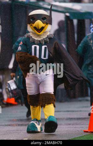 Philadelphia Eagles mascot Swoop, dressed as Batman, looks on during the  NFL football game against the Jacksonville Jaguar, Sunday, Oct. 2, 2022, in  Philadelphia. (AP Photo/Chris Szagola Stock Photo - Alamy