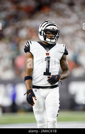 Cincinnati Bengals wide receiver Ja'Marr Chase (1) during an NFL football  game against the Miami Dolphins on Thursday, September 29, 2022, in  Cincinnati. (AP Photo/Matt Patterson Stock Photo - Alamy