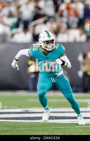 Miami Dolphins linebacker Duke Riley (45) waits on the snap during a NFL  football game at EverBank Stadium, Saturday, August 26, 2023 in  Jacksonville, Fla. (AP Photo/Alex Menendez Stock Photo - Alamy