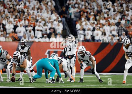 Miami Dolphins linebacker Trey Flowers (93) lines up for the play during an  NFL football game against the Cincinnati Bengals, Thursday, Sept. 29, 2022,  in Cincinnati. (AP Photo/Emilee Chinn Stock Photo - Alamy