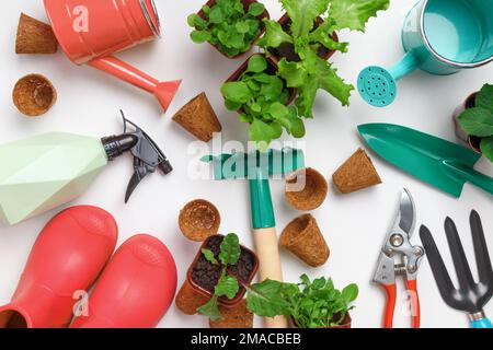 The concept of gardening. Top view of tools and potted flowers on the table. Stock Photo