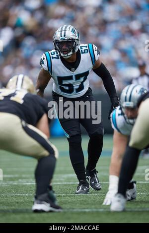 Carolina Panthers linebacker Damien Wilson watches during the