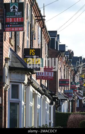 Selly Oak, Birmingham, January 19th 2023 - A row of terraced properties to rent in Selly Oak, Birmingham. House prices have fallen at a faster rate than expected, however the number of households privately renting in the UK has more than doubled over the past two decades, according to the 2021 Census, to 5 million. Average rents across the UK were up 10.8 percent annually in December 2022. As energy prices continue to remain high, so do the costs of renting a property. Credit: Stop Press Media/Alamy Live News Stock Photo