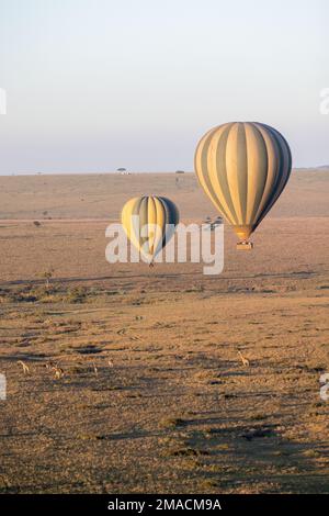 Hot air balloons float over Masai Mara in Kenya Stock Photo