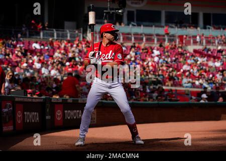 Milwaukee Brewers players sit in the dugout during a baseball game against  the Cincinnati Reds Saturday, Sept. 24, 2022, in Cincinnati. (AP Photo/Jeff  Dean Stock Photo - Alamy