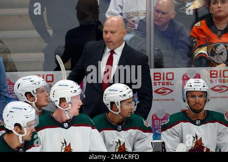 Arizona Coyotes head coach Andre Tourigny ()in the third period of