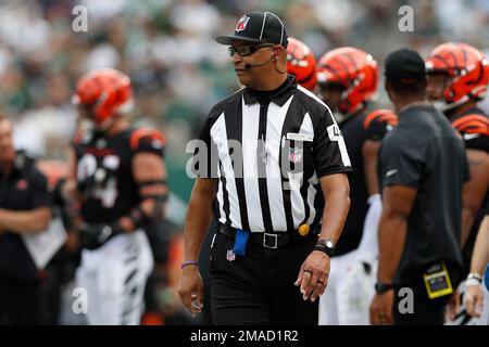 NFL Down Judge Frank LeBlanc (44) on the field during an NFL football game,  Saturday, Aug. 20, 2022, in Indianapolis. (AP Photo/Zach Bolinger Stock  Photo - Alamy