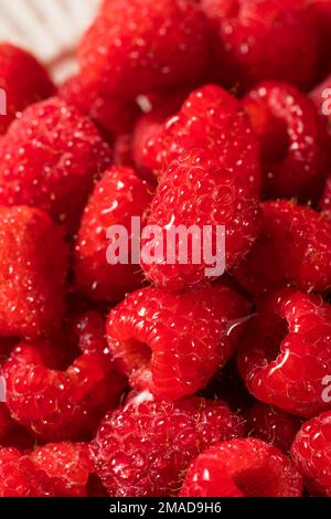 Raw Organic Red Raspberries Ready to Eat Stock Photo - Alamy