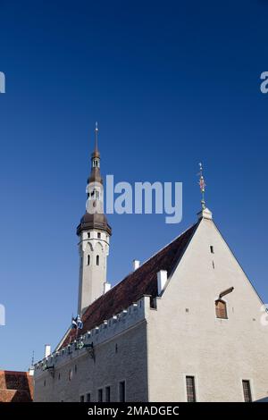 Estonia, Tallinn, town hall. Stock Photo