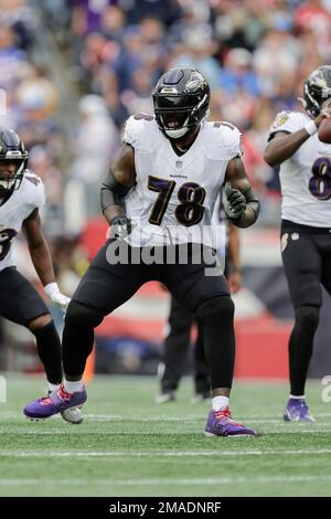 Baltimore Ravens offensive tackle Morgan Moses (78) warms up during a NFL  football game against the Tampa Bay Buccaneers,Thursday, Oct. 27, 2022 in  Tampa, Fla. (AP Photo/Alex Menendez Stock Photo - Alamy