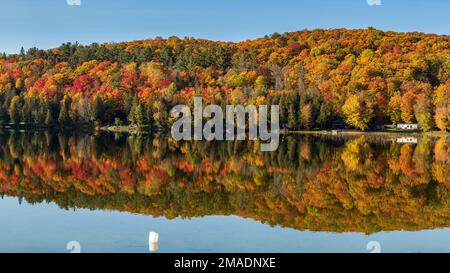 Lac Barnes in Autum Splendor: A calm lake in Quebec's Pontiac region perfectly reflects the fall colours of the leaves in the surrounding forest. Pano Stock Photo