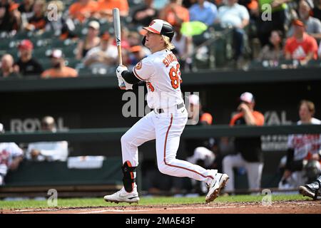 Baltimore Orioles Kyle Stowers (83) bats bats during a spring training  baseball game against the Philadelphia Phillies on March 26, 2023 at Ed  Smith Stadium in Sarasota, Florida. (Mike Janes/Four Seam Images