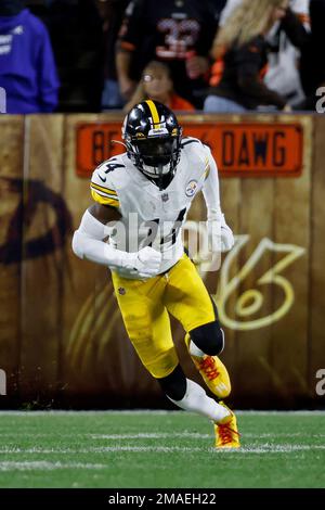 Pittsburgh Steelers wide receiver George Pickens (14) plays during an NFL  football game against the New Orleans Saints, Sunday, Nov. 13, 2022, in  Pittsburgh. (AP Photo/Keith Srakocic Stock Photo - Alamy