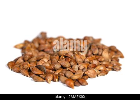 Apple cores against white background Stock Photo