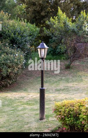 Single electric lamp post in an open patch in a park Stock Photo