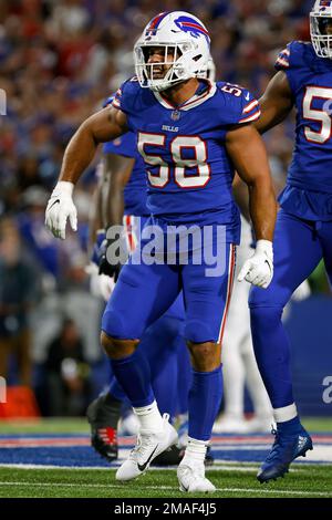 Orchard Park, New York, USA. 9th Oct, 2022. Buffalo Bills linebacker MATT  MILANO (58) and Buffalo Bills safety DAMAR HAMLIN, 23, (3) celebrate during  Pittsburgh Steelers vs Buffalo Bills in Orchard Park