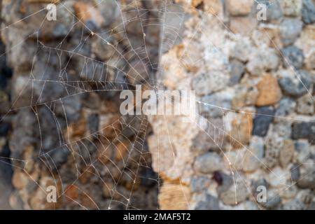 Cobweb on the background of stones. Cobweb n the sunlight on the background of Rock stone wall. Background, pattern, texture. Stock Photo