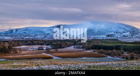 A rural winter landscape with Tinto Hill near the village of Carmichael in South Lanarkshire, Scotland Stock Photo