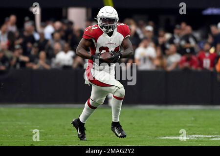 Arizona Cardinals running back Darrel Williams burrows in for quick Arizona  Cardinals touchdown