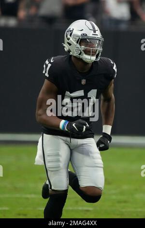 Las Vegas Raiders defensive end Malcolm Koonce (51) during the first half  of an NFL football game against the Arizona Cardinals, Sunday, Sept. 18,  2022, in Las Vegas. (AP Photo/Rick Scuteri Stock